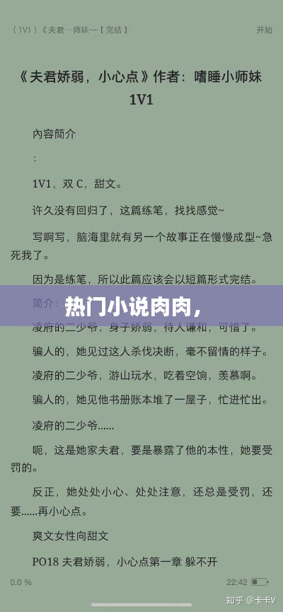 熱門(mén)小說(shuō)肉肉， 