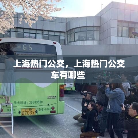 上海熱門公交，上海熱門公交車有哪些 