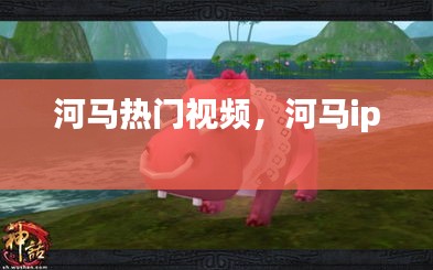河馬熱門(mén)視頻，河馬ip 