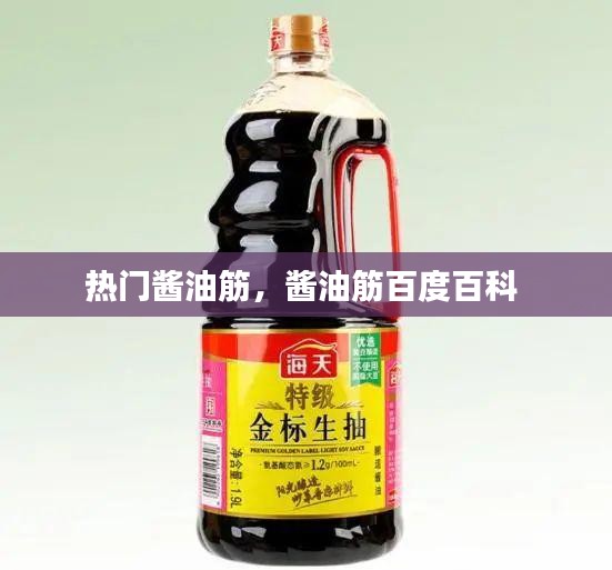 熱門醬油筋，醬油筋百度百科 