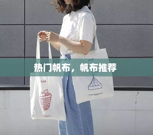 熱門帆布，帆布推薦 