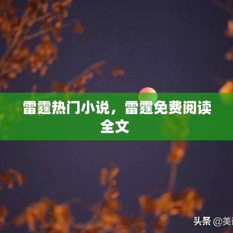 雷霆熱門小說，雷霆免費(fèi)閱讀全文 