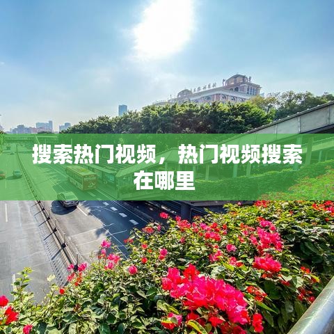 搜索熱門視頻，熱門視頻搜索在哪里 