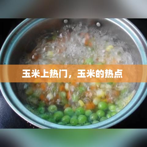 玉米上熱門(mén)，玉米的熱點(diǎn) 