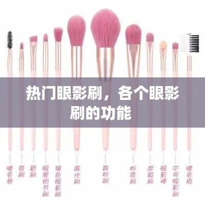 熱門眼影刷，各個眼影刷的功能 