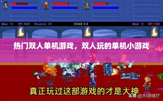 熱門雙人單機游戲，雙人玩的單機小游戲 