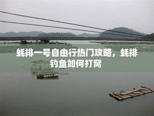 蠔排一號自由行熱門攻略，蠔排釣魚如何打窩 