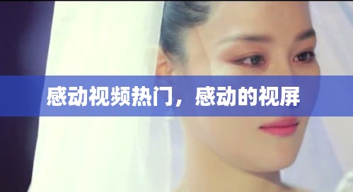感動視頻熱門，感動的視屏 