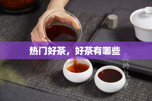 熱門好茶，好茶有哪些 