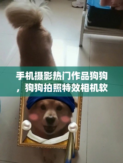 手機(jī)攝影熱門(mén)作品狗狗，狗狗拍照特效相機(jī)軟件 