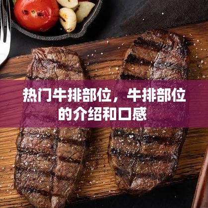 熱門牛排部位，牛排部位的介紹和口感 
