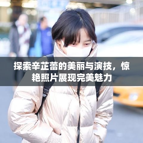 探索辛芷蕾的美麗與演技，驚艷照片展現(xiàn)完美魅力