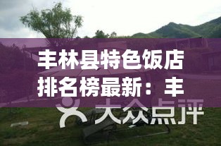 豐林縣特色飯店排名榜最新：豐林縣旅游 