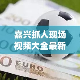 嘉興抓人現(xiàn)場視頻大全最新：嘉興大案要案實錄 