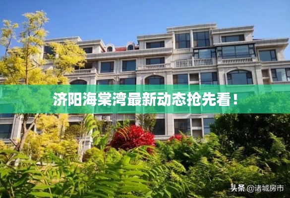 濟(jì)陽海棠灣最新動(dòng)態(tài)搶先看！