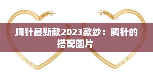 胸針最新款2023款紗：胸針的搭配圖片 
