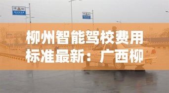 柳州智能駕校費(fèi)用標(biāo)準(zhǔn)最新：廣西柳州駕校排名 