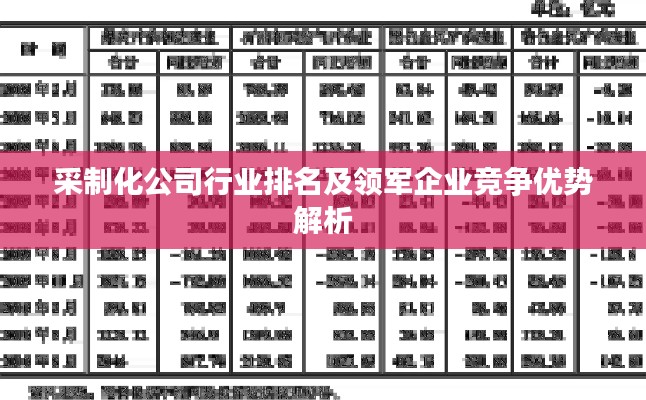 采制化公司行業(yè)排名及領(lǐng)軍企業(yè)競爭優(yōu)勢解析