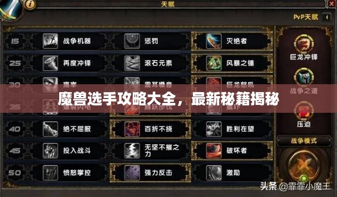 魔獸選手攻略大全，最新秘籍揭秘