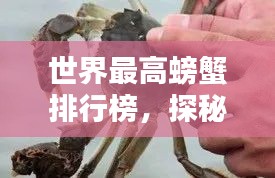 世界最高螃蟹排行榜，探秘蟹界之巔！