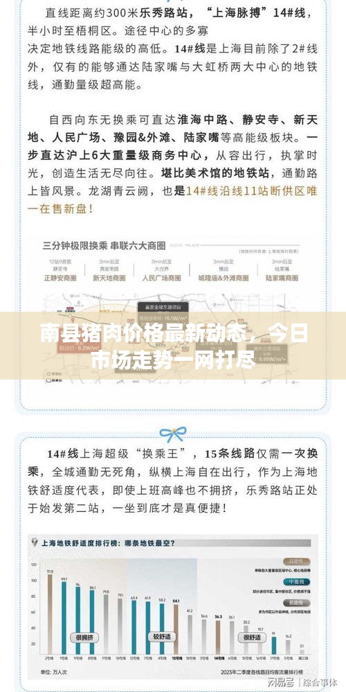 南縣豬肉價(jià)格最新動(dòng)態(tài)，今日市場(chǎng)走勢(shì)一網(wǎng)打盡