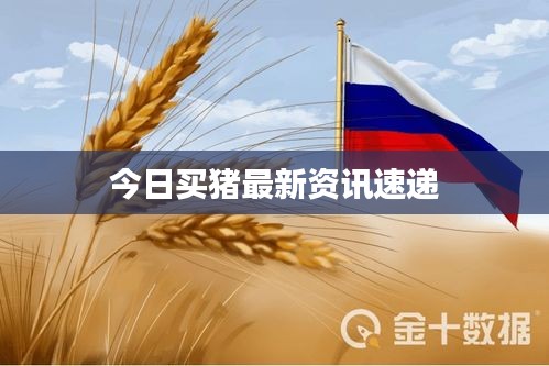 今日買豬最新資訊速遞