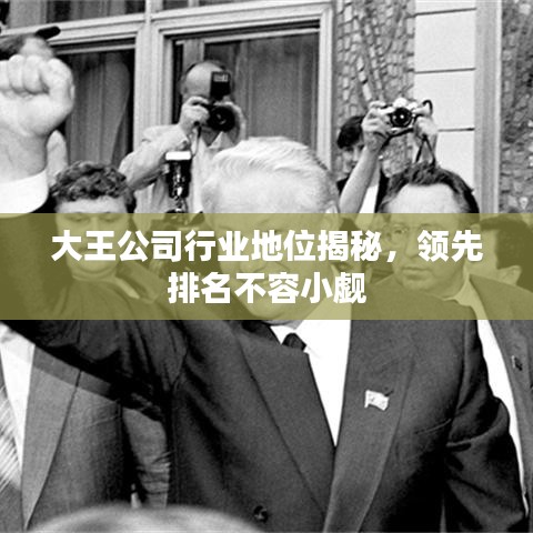 大王公司行業(yè)地位揭秘，領(lǐng)先排名不容小覷