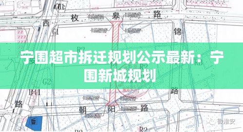 寧圍超市拆遷規(guī)劃公示最新：寧圍新城規(guī)劃 