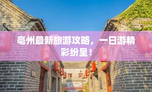 亳州最新旅游攻略，一日游精彩紛呈！