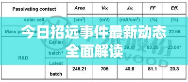 敷衍了事 第3頁