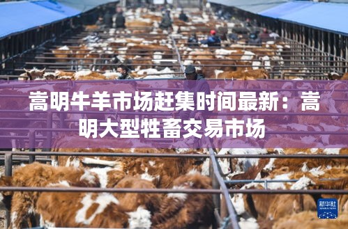 嵩明牛羊市場(chǎng)趕集時(shí)間最新：嵩明大型牲畜交易市場(chǎng) 