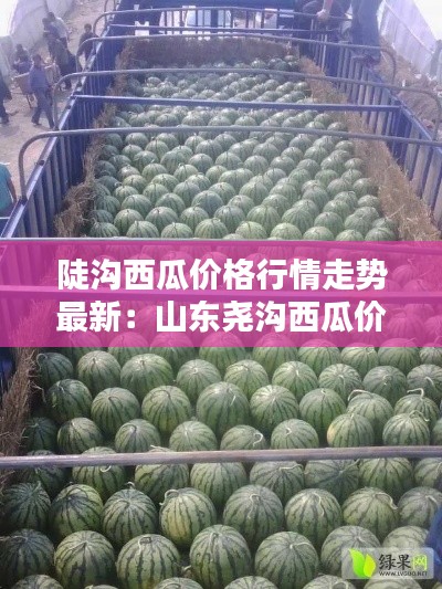 陡溝西瓜價(jià)格行情走勢最新：山東堯溝西瓜價(jià)格 
