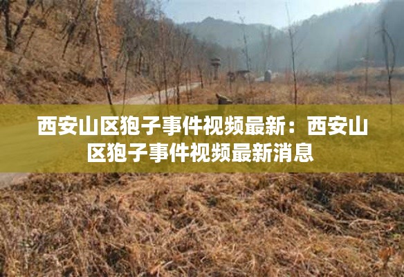 西安山區(qū)狍子事件視頻最新：西安山區(qū)狍子事件視頻最新消息 
