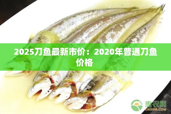 2025刀魚最新市價(jià)：2020年普通刀魚價(jià)格 