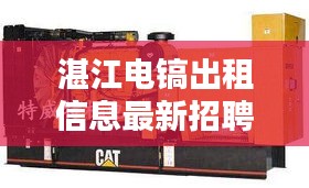 湛江電鎬出租信息最新招聘：廣東湛江電機廠官網(wǎng) 