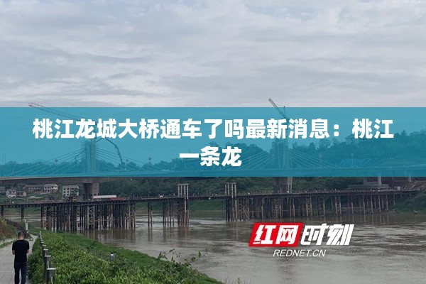 桃江龍城大橋通車了嗎最新消息：桃江一條龍 