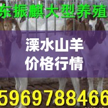 溧水山羊價格行情最新今天：溧陽羊肉價格 