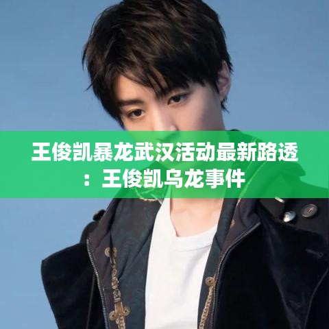 王俊凱暴龍武漢活動最新路透：王俊凱烏龍事件 