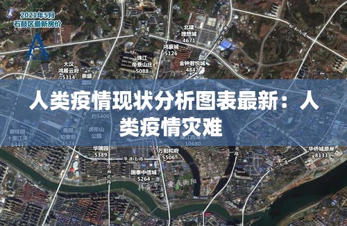 人類疫情現(xiàn)狀分析圖表最新：人類疫情災(zāi)難 