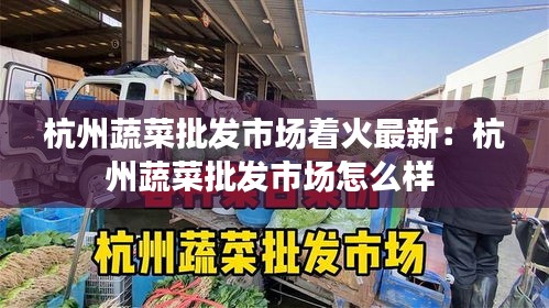 杭州蔬菜批發(fā)市場著火最新：杭州蔬菜批發(fā)市場怎么樣 