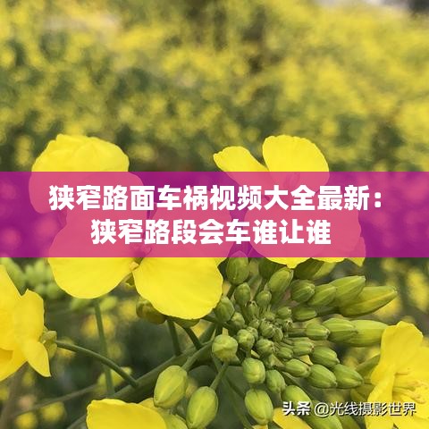 狹窄路面車禍視頻大全最新：狹窄路段會車誰讓誰 