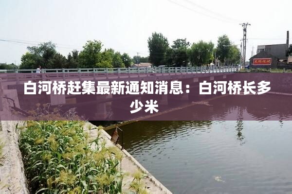 白河橋趕集最新通知消息：白河橋長(zhǎng)多少米 