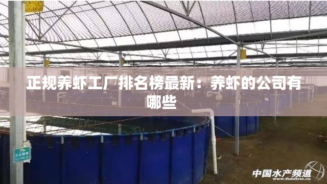 正規(guī)養(yǎng)蝦工廠排名榜最新：養(yǎng)蝦的公司有哪些 