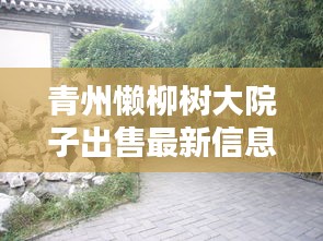 青州懶柳樹大院子出售最新信息：青州懶柳樹大院子出售最新信息網(wǎng) 
