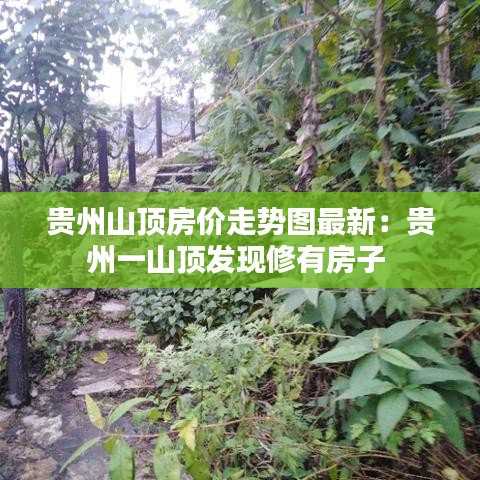 貴州山頂房價走勢圖最新：貴州一山頂發(fā)現(xiàn)修有房子 