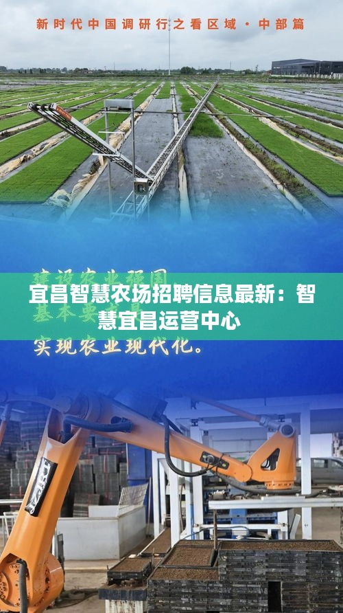 宜昌智慧農(nóng)場招聘信息最新：智慧宜昌運營中心 