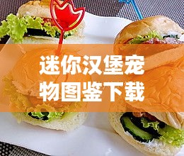 迷你漢堡寵物圖鑒下載最新版：迷你漢堡加盟官網(wǎng) 