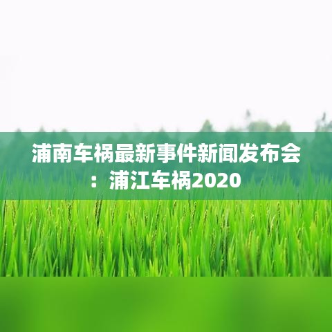 浦南車禍最新事件新聞發(fā)布會：浦江車禍2020 