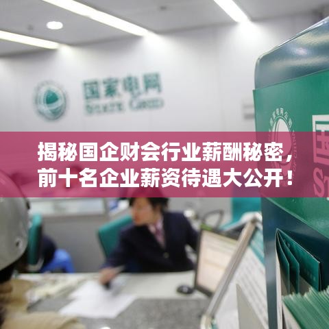 揭秘國(guó)企財(cái)會(huì)行業(yè)薪酬秘密，前十名企業(yè)薪資待遇大公開(kāi)！