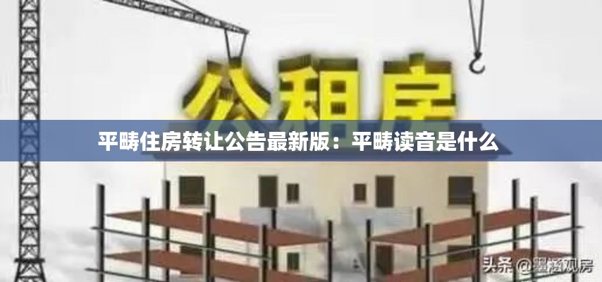 平疇住房轉(zhuǎn)讓公告最新版：平疇讀音是什么 